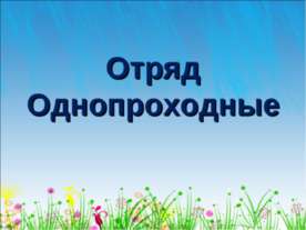 Отряд Однопроходные