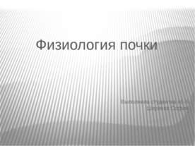 Физиология почки