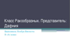 Класс Ракообразных. Представитель: Дафния