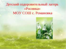 с.Романовка