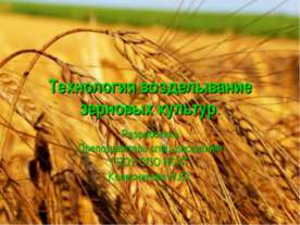 Технология возделывание зерновых культур