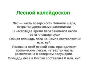 Лесной калейдоскоп