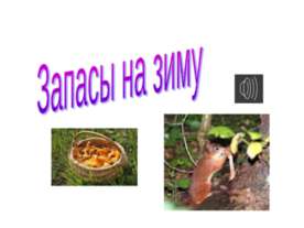 Запасы на зиму