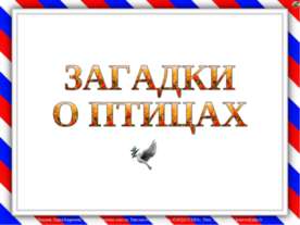 Загадки о птицах