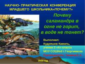 Почему саламандра в огне не горит, в воде не тонет?