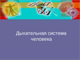 Дыхательная система человека