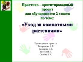 Уход за комнатными растениями 2 класс