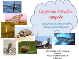 Скорости в живой природе