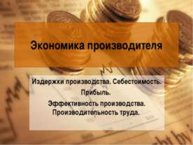 Экономика производителя