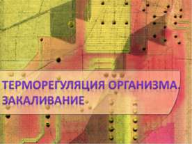 Терморегуляция организма. Закаливание