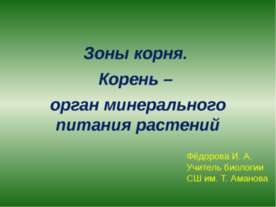 Зоны корня. Корень – орган минерального питания растений