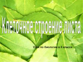 Клеточное строение листа 6 класс