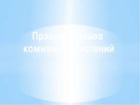 Правила полива комнатных растений