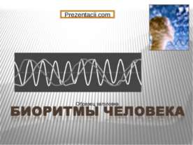 Биоритмы человека