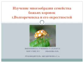 Изучение многообразия семейства божьих коровок г.Волгореченска и его окрестно...