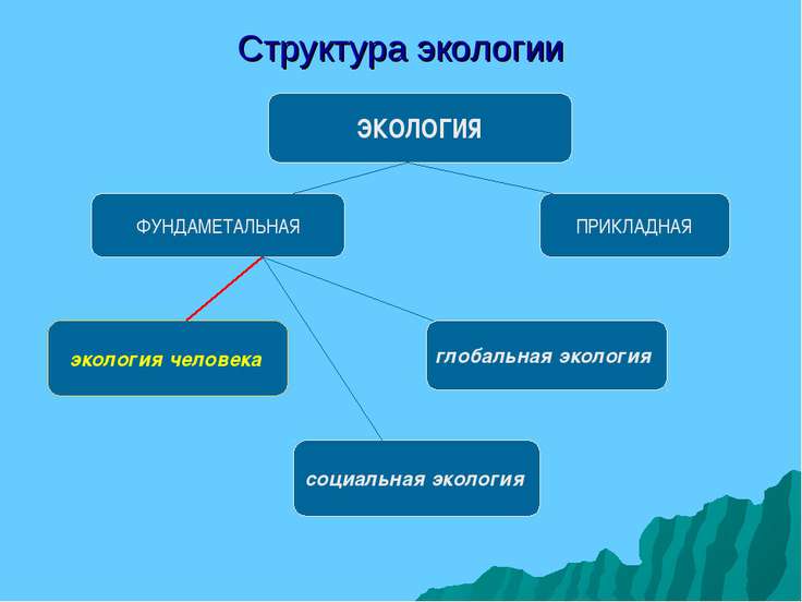 Лекции социальная экология