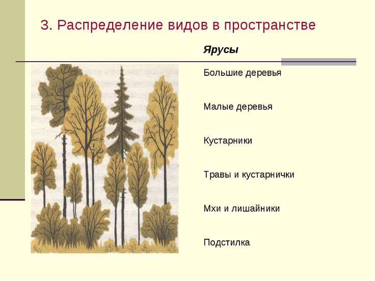 Схема многообразие связей в биоценозе