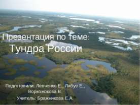 Тундра России